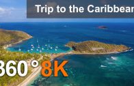 Trip to the Caribbean. Aerial & underwater 360 video in 8K