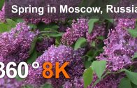 Moscow Spring. 360 video in 8K. Virtual travel