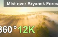 Misty Morning. Spring Forest Relaxation. Bryansk Forest, Russia. 360 aerial video in 12K