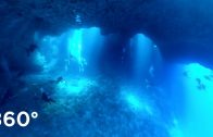 Palau “BLUE HOLE” Look Around!! 360° 4K