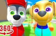 VR 360° Dog Best Friends Adventures – 360 Video