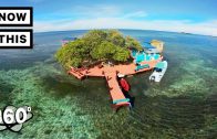 Bird Island: Paradise in Belize (360 Tour) | Unframed by Gear 360 | NowThis