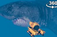 360° GTA 5 Megalodon Shark Attack in VR | GTA 5 360° VR Video