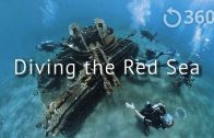 Diving the Red Sea – Underwater 360 Video