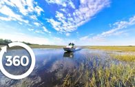 Let’s Go Places: Florida | Swamp Things (360 Video)