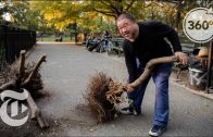 Stroll in the Park With Ai Weiwei | 360 VR Video | The New York Times