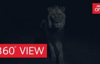 Africa at night 360° – Planet Earth II: Grasslands – BBC One