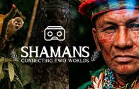 Shaman Ayahuasca Ceremony 180 VR – TRAILER